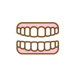 入れ歯